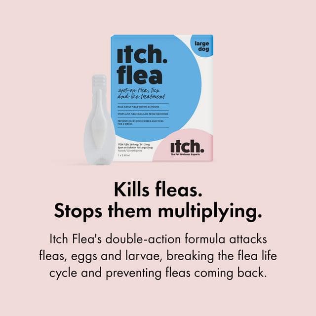 Itch Flea Large Dog Flea & Tick Spot On Treatment 1 Pipette (20-40kg) - gallery image 6