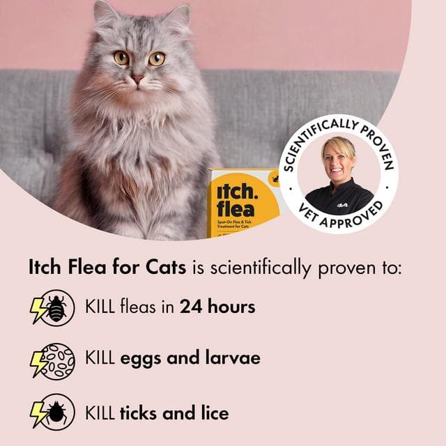 Itch Flea Cat Flea & Tick Spot On Treatment 3 Pipette (1kg+) - gallery image 2