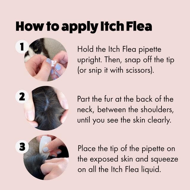 Itch Flea Cat Flea & Tick Spot On Treatment 3 Pipette (1kg+) - gallery image 3