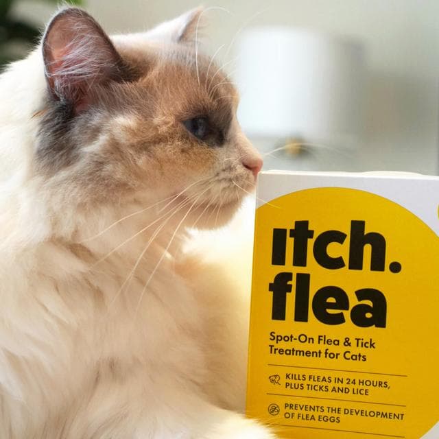 Itch Flea Cat Flea & Tick Spot On Treatment 3 Pipette (1kg+) - gallery image 4
