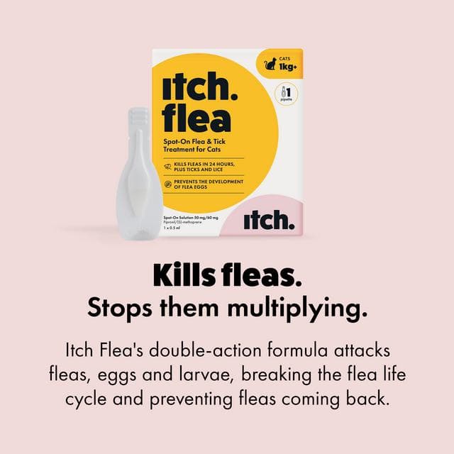 Itch Flea Cat Flea & Tick Spot On Treatment 3 Pipette (1kg+) - gallery image 5