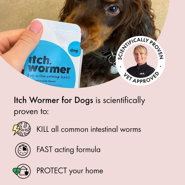 Itch Wormer Dog Worm Tablet Treatment Pack x2 - gallery image 2