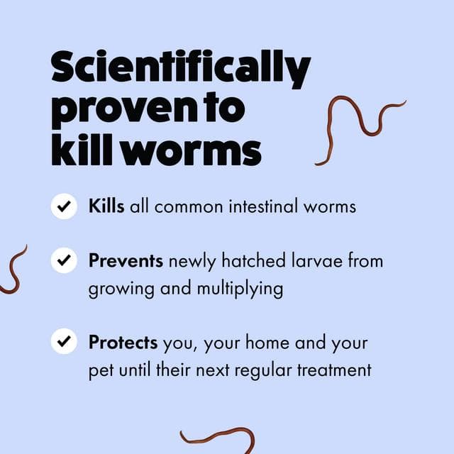 Itch Wormer Dog Worm Tablet Treatment Pack x2 - gallery image 3