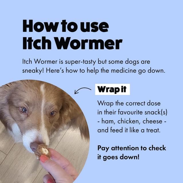 Itch Wormer Dog Worm Tablet Treatment Pack x2 - gallery image 4