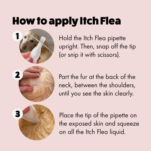Itch Flea Small Dog Flea & Tick Spot On Treatment 1 Pipette (2-10kg) - gallery image 3