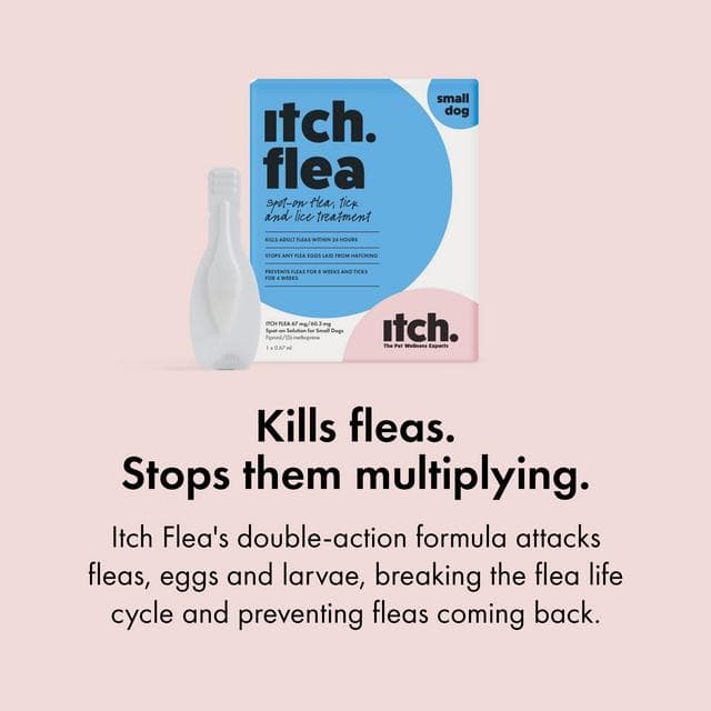 Itch Flea Small Dog Flea & Tick Spot On Treatment 1 Pipette (2-10kg) - gallery image 6