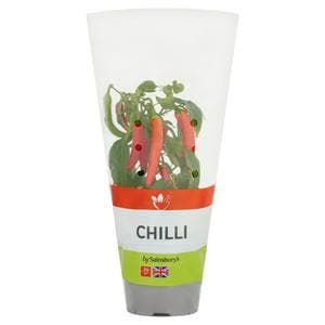 Sainsbury's Chilli