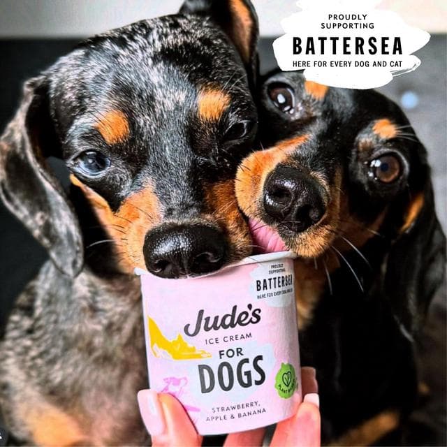 Jude's 90ml Strawberry, Apple & Banana Dogs Ice Cream - gallery image 3
