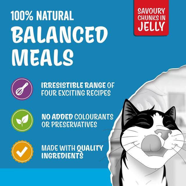 Felix Original Senior 7+ Fish Selection in Jelly Wet Cat Food 40 x 85g - gallery image 2