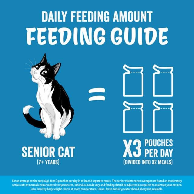 Felix Original Senior 7+ Fish Selection in Jelly Wet Cat Food 40 x 85g - gallery image 5