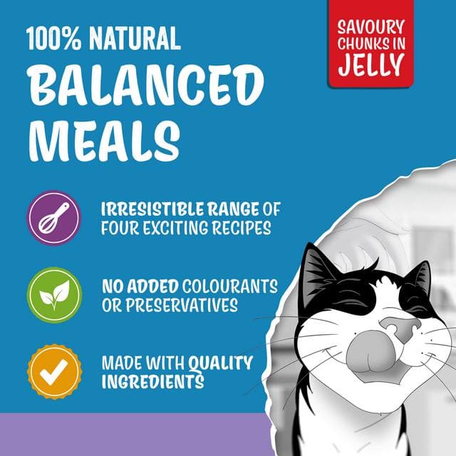 Felix Original Mixed Selection in Jelly Wet Cat Food 40 x 85g - gallery image 3