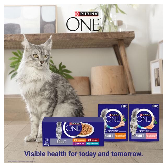 Purina One Mini Fillets Ocean Fish & Lamb Wet Cat Food 8 x 85g - gallery image 5