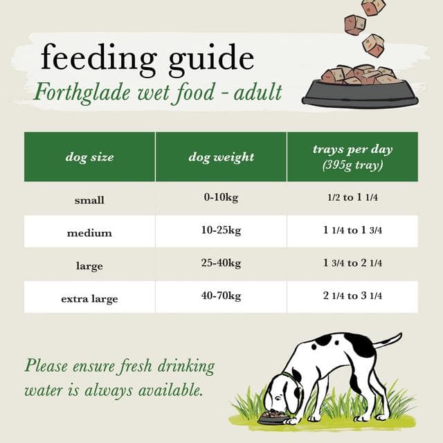 Forthglade Variety Pack Complete Meal Adult Wet Dog Food 1 Year+ 6 x 395g - gallery image 5