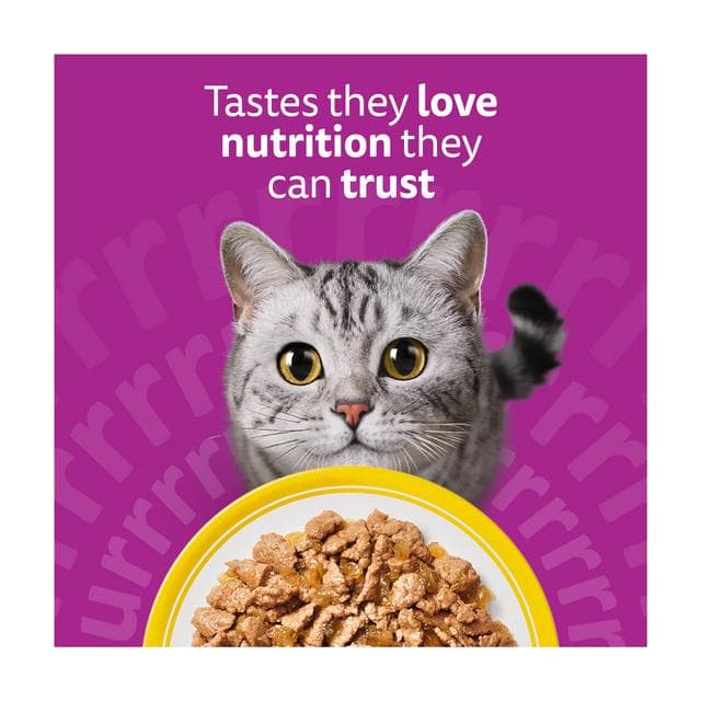 Whiskas 1+ Poultry Feast in Jelly Wet Cat Food 80 x 85g - gallery image 6