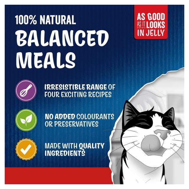 Felix As Good As it Looks Senior 7+ Meat in Jelly Wet Cat Food 12 x 85g - gallery image 3