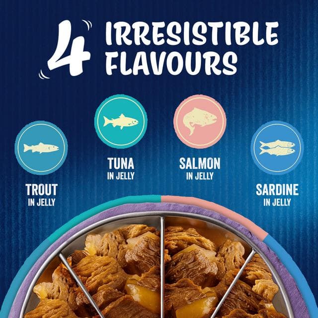 Felix As Good As it Looks Senior 7+ Fish in Jelly Wet Cat Food 12 x 85g - gallery image 2