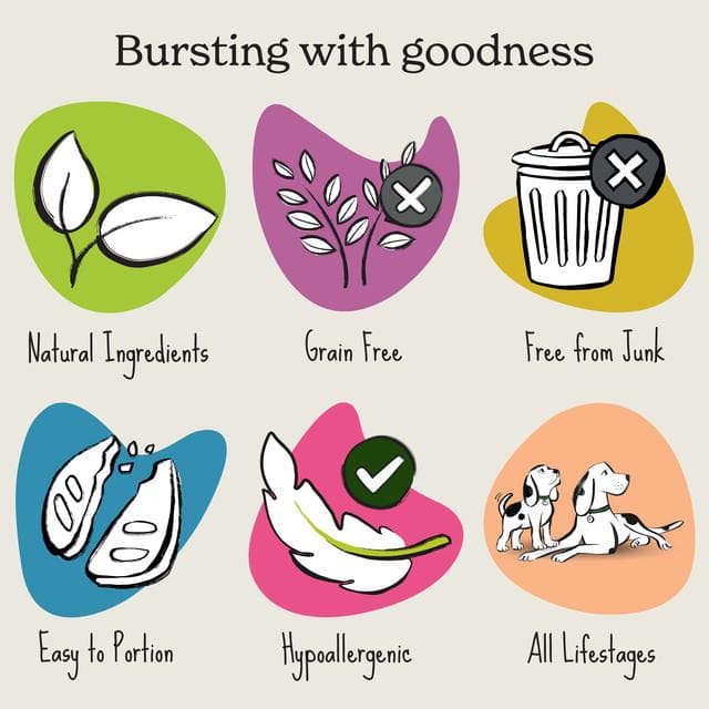 Forthglade Rewards Natural Treats for Dogs Honey & Banana 90g - gallery image 4