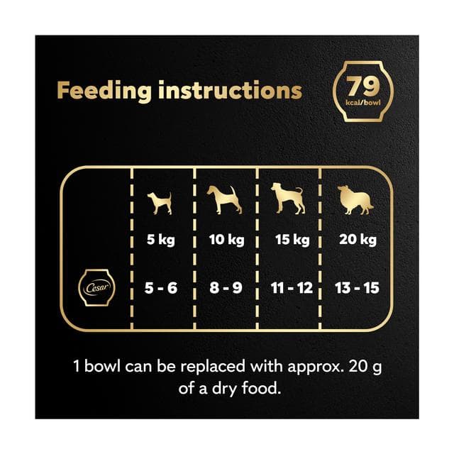 Cesar Fresh Bowl Adult Wet Dog Food with Duck, Red Rice, Carrots, Potato in Gravy 85g - gallery image 4