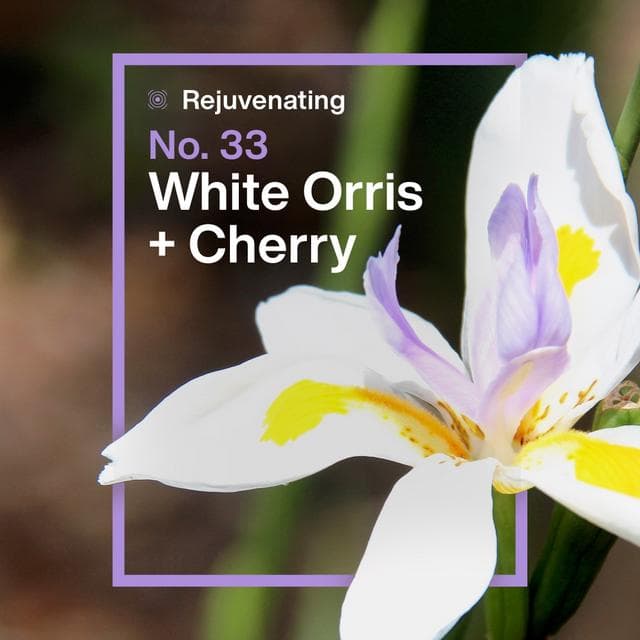 Ineos Skin Science White Orris + Cherry Antiperspirant Deo Spray 200ml - gallery image 3