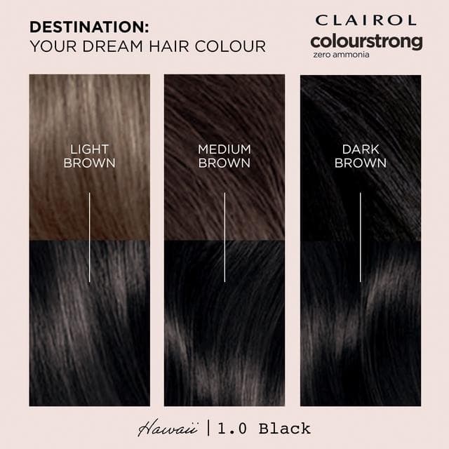 Clairol Colour Strong Black 1.0 Permanent Hair Dye - gallery image 4