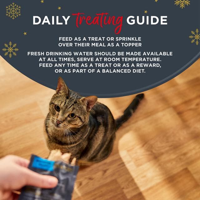 Encore 3 x 30g Festive Cat Treat Pouches - gallery image 5