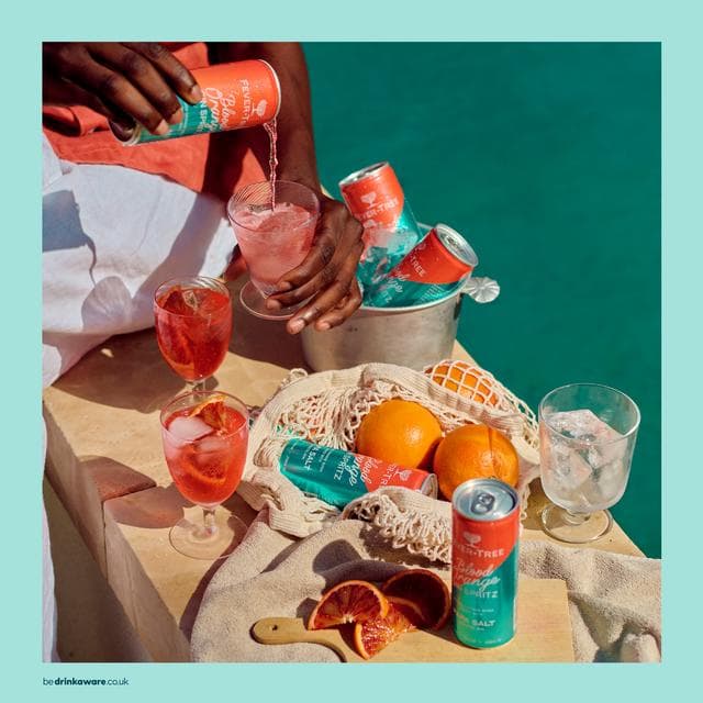 Fever-Tree & Papa Salt Blood Orange Gin Spritz 250ml - gallery image 3