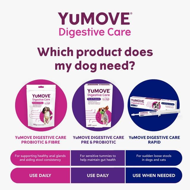 Yumove Digestive Care Rapid for All Dogs & Cats Tasty Paste 30ml - gallery image 5