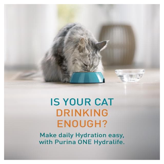 Purina One Hydralife Chicken Cat Supplements 6 x 50g - gallery image 2