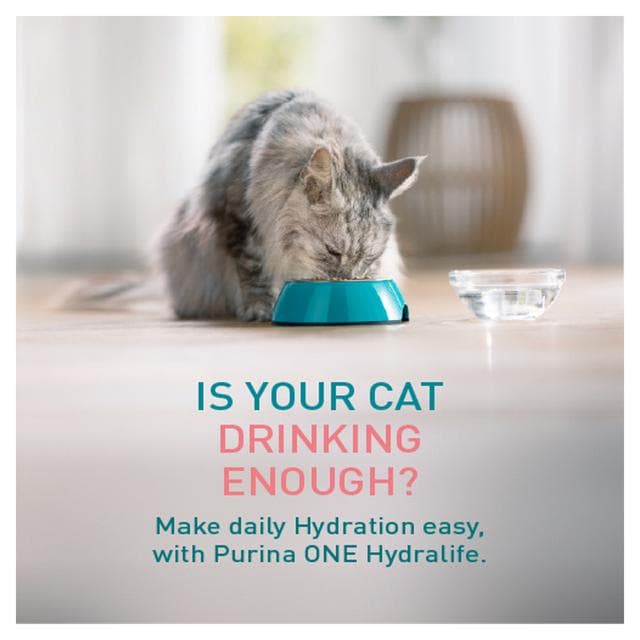 Purina One Hydralife Salmon Cat Supplements 6 x 50g - gallery image 2