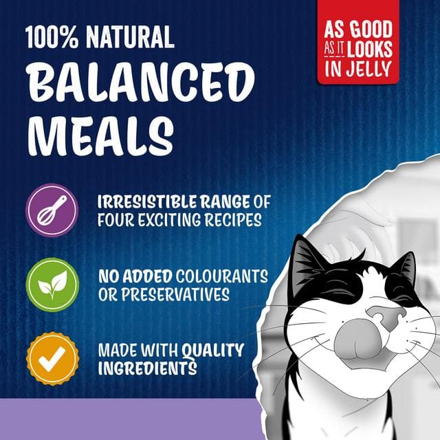 Felix As Good As it Looks Favourites Selection Wet Cat Food 80 x 85g - gallery image 5