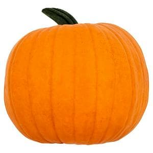 Sainsbury's The Big Orange Giant Pumpkin