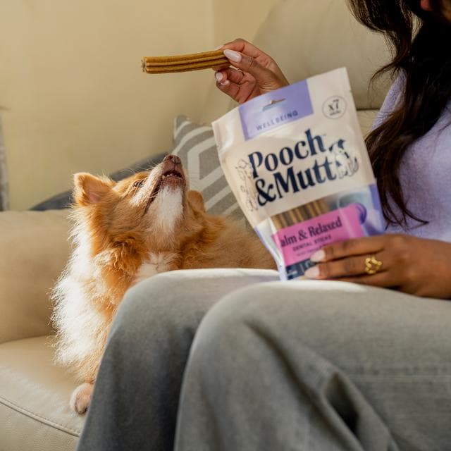 Pooch & Mutt Hemp & Sage Calming Dental Sticks Dog Treats 251g - gallery image 4
