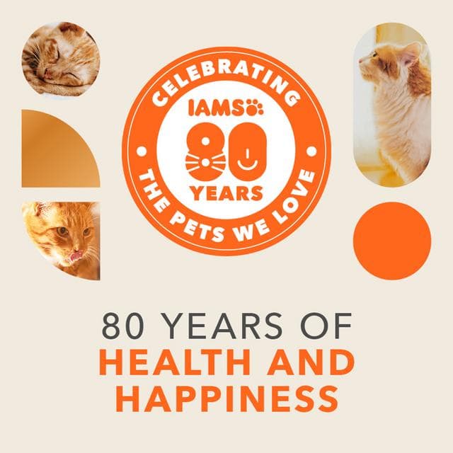 IAMS with Fresh Chicken 11+ Years 800g - gallery image 2