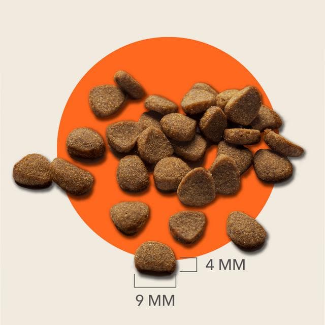 IAMS with Fresh Chicken 11+ Years 800g - gallery image 5