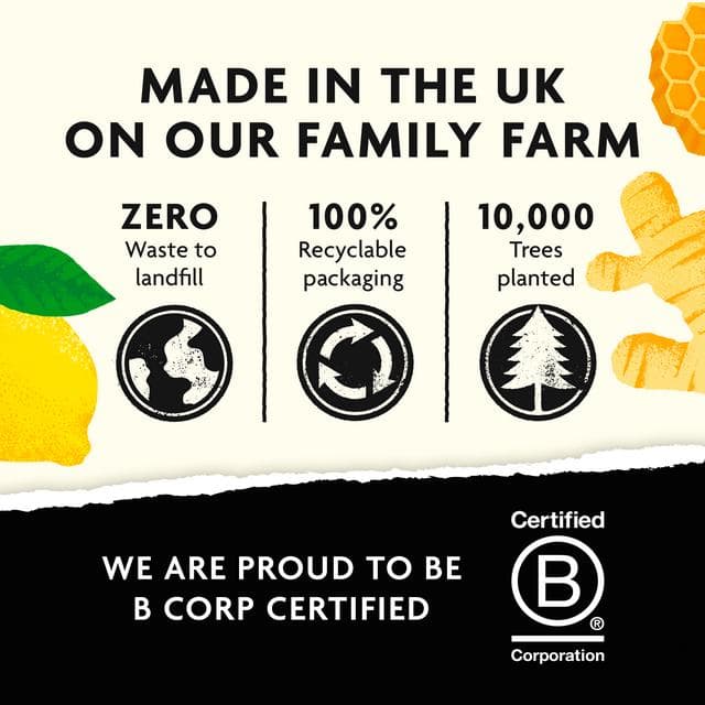 Belvoir Farm Honey, Lemon & Ginger Cordial 500ml - gallery image 4