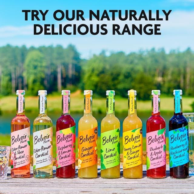Belvoir Farm Honey, Lemon & Ginger Cordial 500ml - gallery image 5