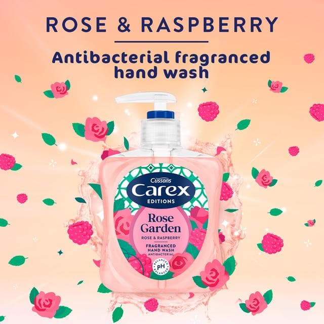 Carex 250ml Editions Rose Garden Rose & Raspberry Antibacterial Hand Wash - gallery image 3