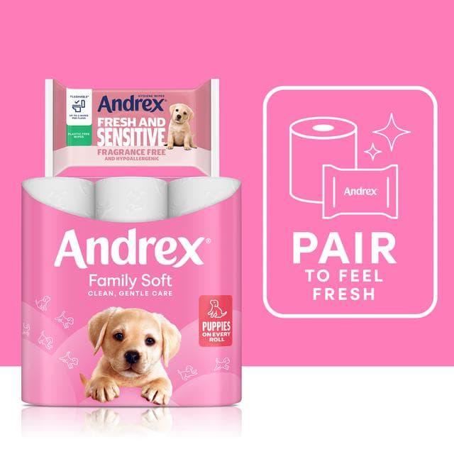 Andrex Family Soft Toilet Tissue Rolls x24 - gallery image 2