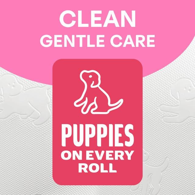 Andrex Family Soft Toilet Tissue Rolls x24 - gallery image 3