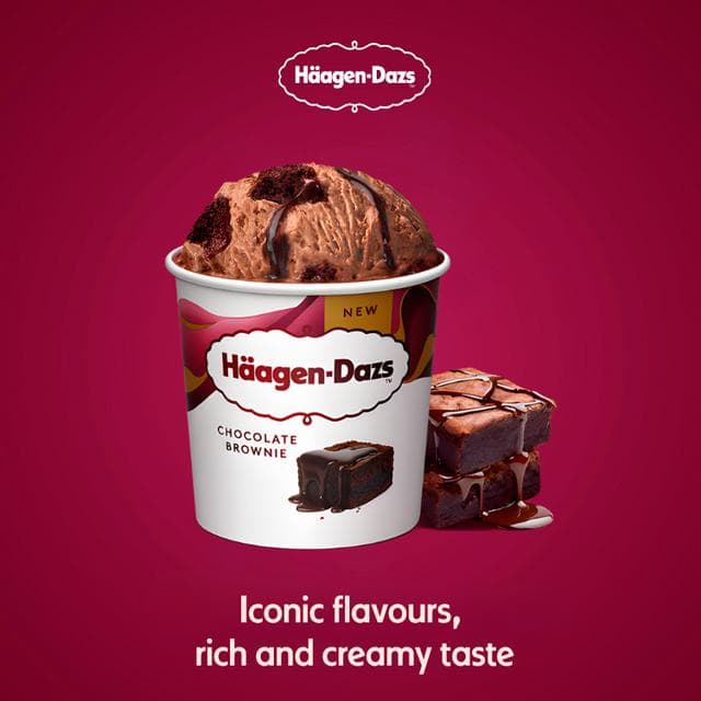Haagen-Dazs 349g Chocolate Brownie Ice Cream - gallery image 2