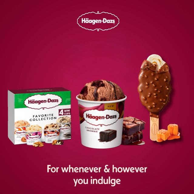 Haagen-Dazs 349g Chocolate Brownie Ice Cream - gallery image 4