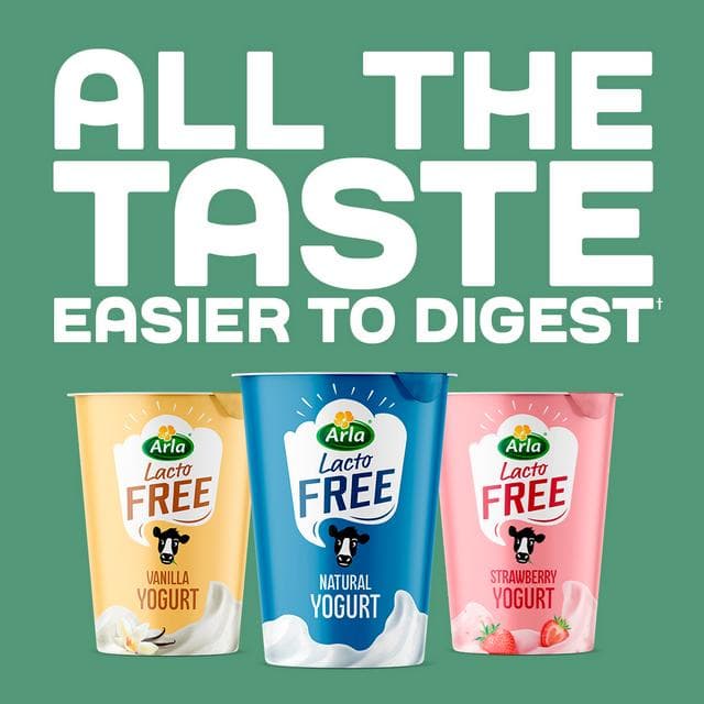 Arla 400g Greek Style Lacto Free Yogurt - gallery image 2