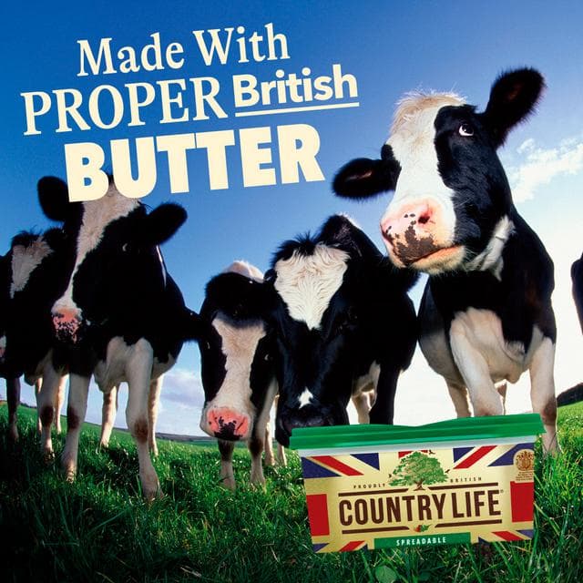 Country Life 400g Spreadable Spread - gallery image 2