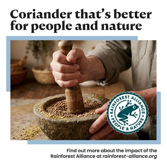 Bart 20g Coriander Seeds - gallery image 3