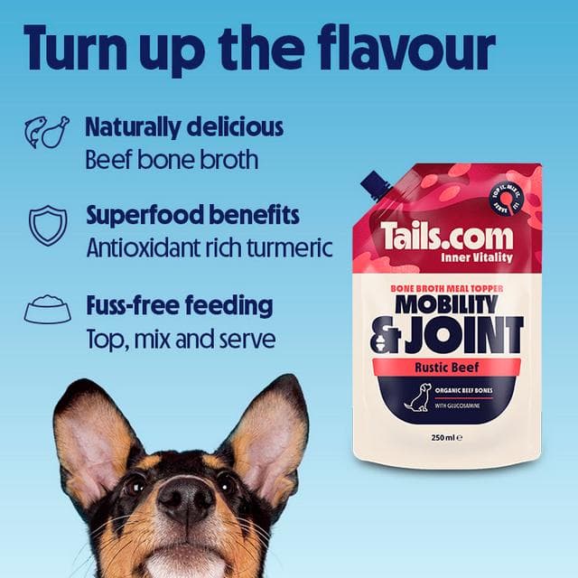 Tails.com Inner Vitality 250ml Mobility & Joint Rustic Beef Bone Broth Meal Topper Dog Food - gallery image 2