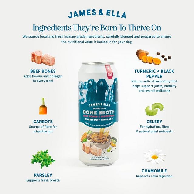 James & Ella Booster+ 450ml Beef Bones & Superfoods Bone Broth Dog Food Pouch - gallery image 4