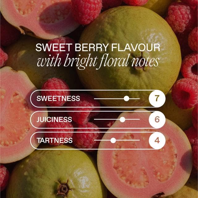 Goodrays 330ml Raspberry & Guava Can - gallery image 4