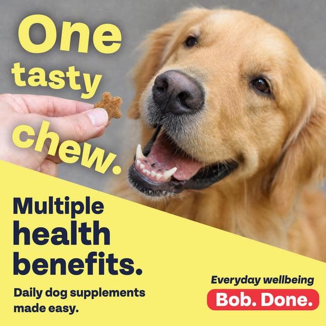 Bob Martin 120 x Senior + Healthy Ageing Daily Supplements Tasty Soft Chews 200g - gallery image 3