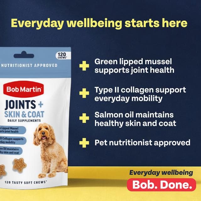 Bob Martin 120 x Joints + Skin & Coat Daily Supplements Tasty Soft Chews 200g - gallery image 4