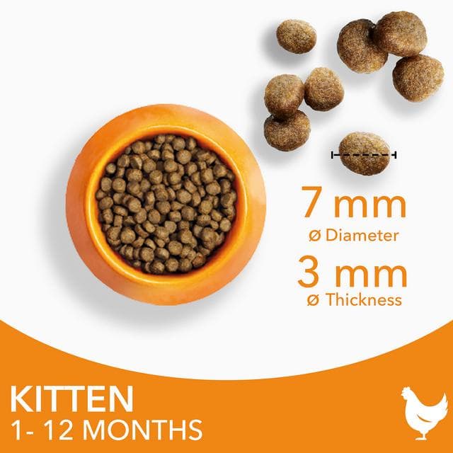 IAMS 3kg Rich in Fresh Chicken Kitten 1 to 12 Months Dry Cat Food - gallery image 4